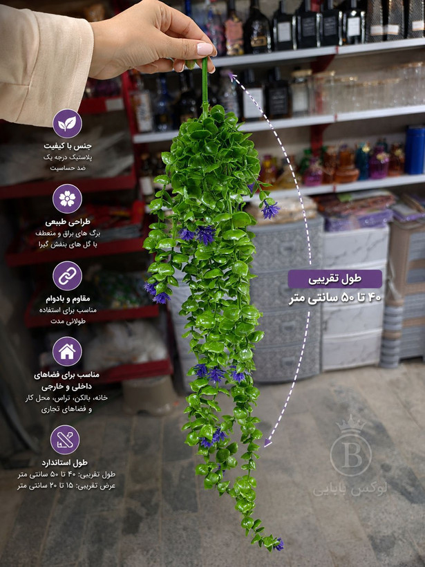 شمشاد۱۶ شاخه گلدار