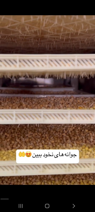 پودر هفت جوانه