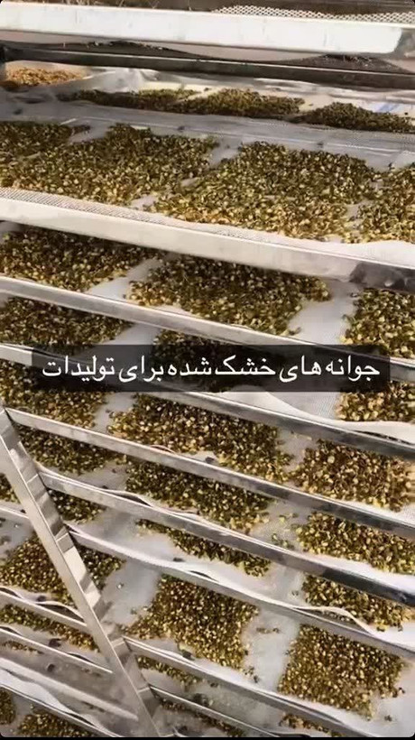 پودر هفت جوانه