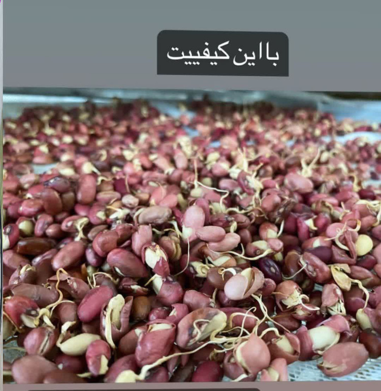 پودر هفت جوانه