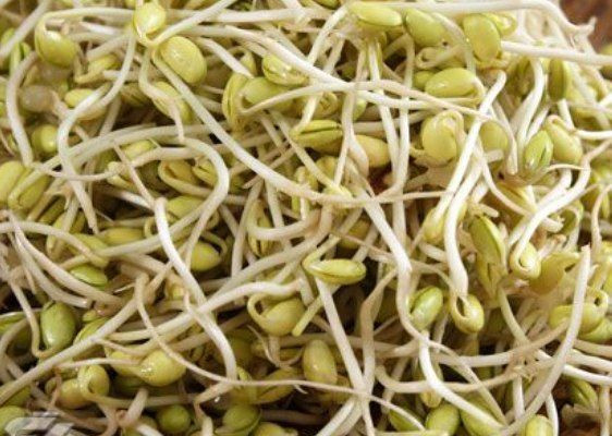 پودر هفت جوانه