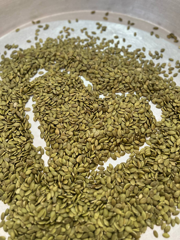 سویق وزن گیری